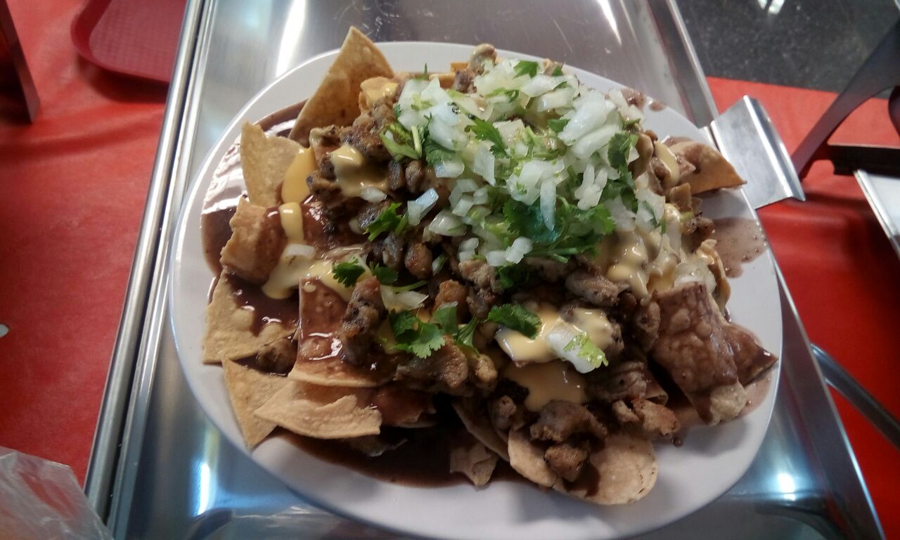 Guiso de carne con arroz y ensalada servido en plato